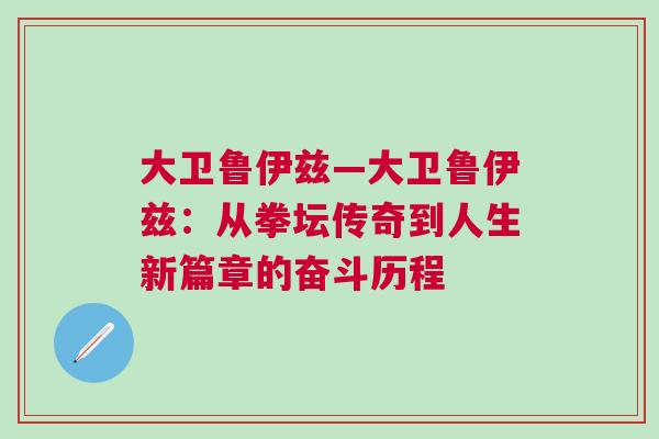 大衛魯伊茲—大衛魯伊茲:從拳壇傳奇到人生新篇章的奮斗歷程